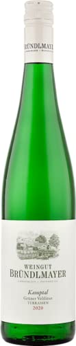 Grüner Veltliner Kamptal Terrassen - 2020-1 x 0,75 lt. - Weingut Willi Bründlmayer von Bründlmayer