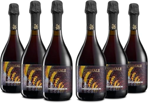 Brumale Lambrusco di Sorbara DOC, Trockener Perlwein mit einem Frischen und Persistenten Geschmack nach Walderdbeeren und Frischen Veilchen, 11% Vol., Karton mit 6 Flaschen mit jeweils 750 ml Brumale Lambrusco di Sorbara DOC, Trockener Perlwein mit einem Frischen und Persistenten Geschmack nach Walderdbeeren und Frischen Veilchen, 11% Vol., Karton mit 6 Flaschen mit jeweils 750 ml von Brumale