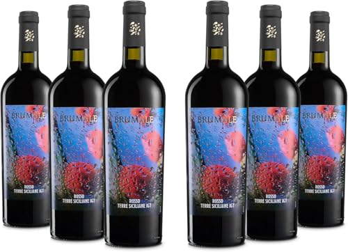 Brumale Rotwein Terre Siciliane IGT, Voller und Abgerundeter Geschmack und Bouquet mit Kirschnote, 12 % Vol., Karton mit 6 Flaschen mit jeweils 750 ml Brumale Rotwein Terre Siciliane IGT, Voller und Abgerundeter Geschmack und Bouquet mit Kirschnote, 12 % Vol., Karton mit 6 Flaschen mit jeweils 750 ml von Brumale