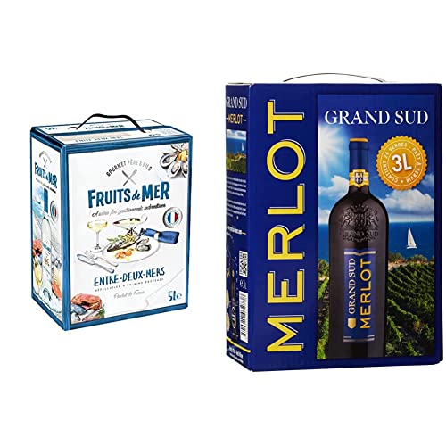 Gourmet Père & Fils - Fruits De Mer - Sauvignon Blanc, Sémillon (1 x 5 l) & Grand Sud - Merlot aus Süd-Frankreich - Sortentypischer Trocken Rotwein - Großpackungen Wein Bag in Box 3l (1 x 3 L) von Brut Dargent