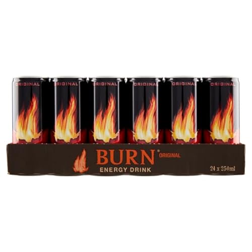 Burn, 24er Pack (24 x 250 ml) (ohne Pfand, Lieferung nur nach Österreich) von WESKEY