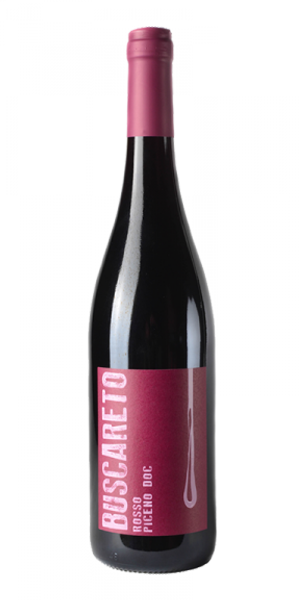 Rosso Piceno DOC 2021 von Buscareto