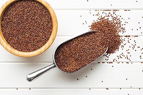 10 x 1 kg Quinoa rot | aus Peru | Roter Quinoa Reis | Inkareis | Inka | roter |Buxtrade | 10 kg von Buxtrade