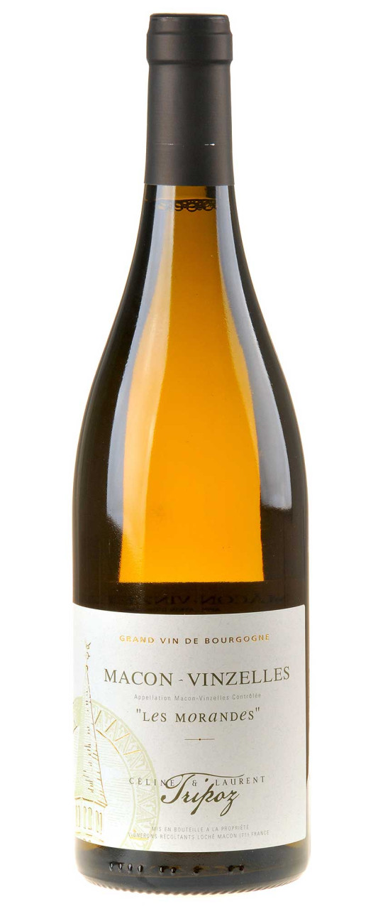 Céline & Laurent Tripoz Macon-Vinzelles Blanc Les Morandes Bio 2020 von Céline & Laurent Tripoz