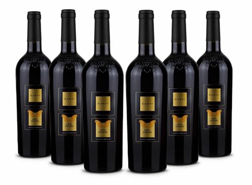 CANTI Gran Passero Appassimento IGT Puglia - Italienischer Rotwein trocken - 6 x 0.75 l von CANTI