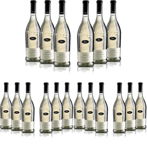 Canti - Pinot Grigio delle Venezie D.O.C., italienischer trockener Weißwein, frischer Geschmack mit einer fruchtigen und abgerundeten Note, 6x750 ml (Packung mit 3) von CANTI