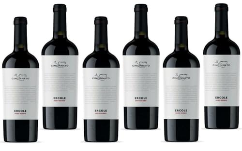 CINCINNATO ERCOLE NERO BUONO 2020 IGT 75 CL 6 FLASCHEN von CINCINNATO