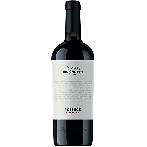 CINCINNATO POLLUCE SCHWARZ GUT LAZIO IGT - 75CL von CINCINNATO