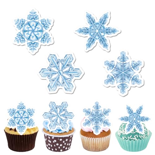 CPYJW 48 Stück Frozen Tortendeko,Eiskönigin Tortendeko Essbare Schneeflocken Frozen Cake Schneeflocken Blau Elsa Kuchen Deko Snowflake Cake Decoration Anna Und Elsa Tortendeko (Blau und Weiß) von CPYJW