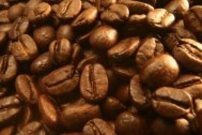 C&T - Äthiopischer Wildkaffee 250 Gramm von CT