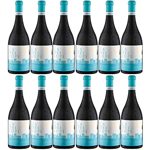 Ca' Dei Lupi Falanghina DOC Weißwein Wein trocken Italien I Versanel Paket (12 x 0,75l) von Ca' Dei Lupi