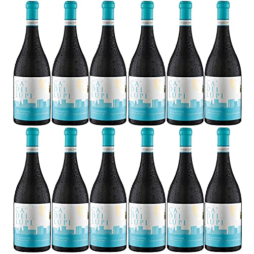 Ca' Dei Lupi Falanghina DOC Weißwein Wein trocken Italien I Versanel Paket (12 x 0,75l) von Ca' Dei Lupi