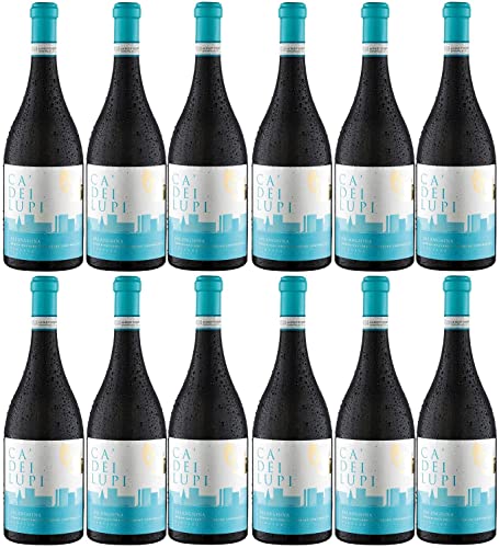 Ca' Dei Lupi Falanghina DOC Weißwein Wein trocken Italien Inkl FeinWert E-Book (12 x 0,75l) von Ca' Dei Lupi