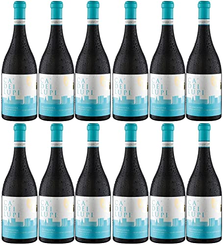 Ca' Dei Lupi Falanghina DOC Weißwein Wein trocken Italien Inkl FeinWert E-Book (12 x 0,75l) von Ca' Dei Lupi