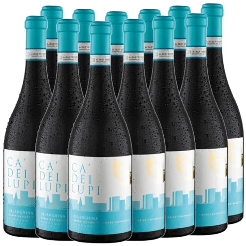 Falanghina del Sannio DOC Ca' Dei Lupi Weißwein 6 x 0,75l VINELLO - 12 x Weinpaket inkl. kostenlosem VINELLO.weinausgießer von Ca' Dei Lupi