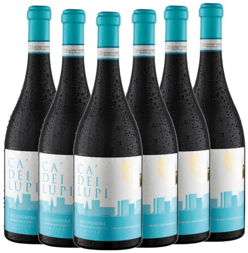 Falanghina del Sannio DOC Ca' Dei Lupi Weißwein 6 x 0,75l VINELLO - 6 x Weinpaket inkl. kostenlosem VINELLO.weinausgießer von Ca' Dei Lupi