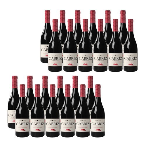 Cabriz - Rotwein - 24 Flaschen Cabriz - Rotwein - 24 Flaschen von Cabriz