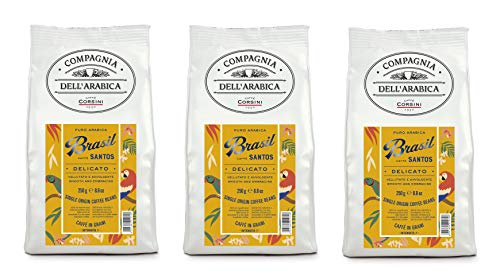 Caffè Corsini Compagnia Dell'Arabica Brasil Santos Kaffeebohnen 3 Pack x 250g, 750 g von Caffè Corsini