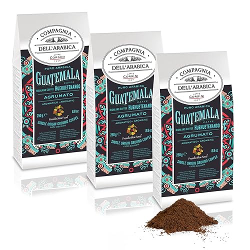 Caffè Corsini Compagnia Dell'Arabica Guatemala Huehuetenango Hochland Gemahlener Kaffee 3 Pack x 250g, 750 g von Caffè Corsini