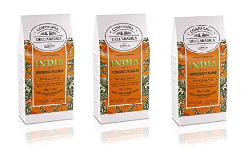 Caffè Corsini Compagnia Dell'Arabica Indien Monsun Malabar Gemahlener Kaffee 3 Pack x 250g, 750 g von Caffè Corsini