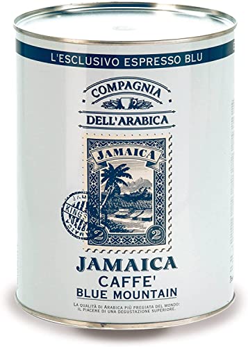 Caffè Corsini - Compagnia dell'Arabica | Kaffeebohnen Jamaica Blue Mountain 100% Arabica | Single Origin Kaffee für Espresso und Moka, die Kaffeespezialität aus den Höhen von Jamaika, 1,5 kg Dose von Caffè Corsini