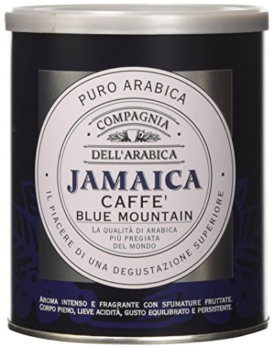 Caffè Corsini - Compagnia dell'Arabica Jamaica Blue Mountain Specialty Coffee. Jamaica Single Origin Gemahlener Kaffee für Espresso und Mokka, intensiv und fruchtig, 250 g Dose von Caffè Corsini