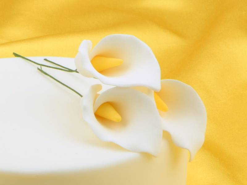 Feinzucker Blüten Calla Lily 3er von Cake-Masters