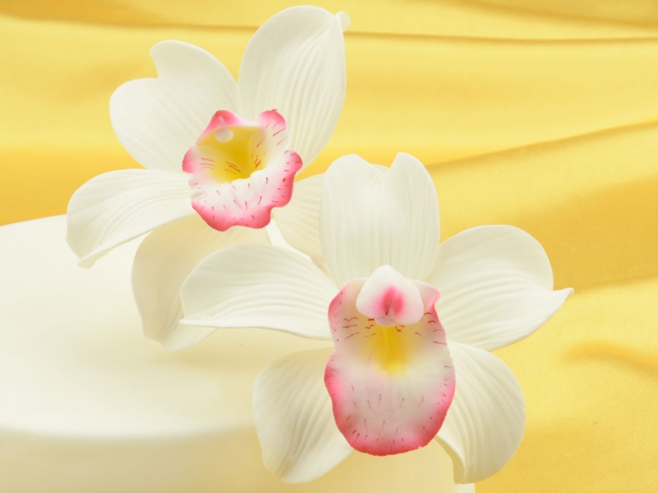 Feinzucker Blüten Cymbidium Orchid 2er von Cake-Masters
