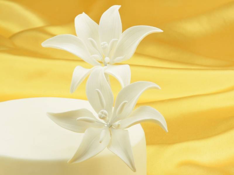 Feinzucker Blüten Tiger Lily White 2er von Cake-Masters