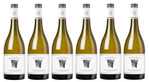 6x 0,75l - Calmel & Joseph - Villa Blanche - Sauvignon Blanc - Pays d'Oc. I.G.P. - Languedoc - Frankreich - Weißwein trocken von Calmel & Joseph