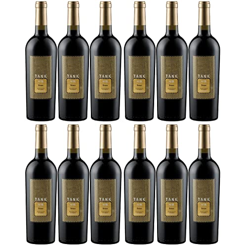 Camivini Tank 11 Syrah Appassimento DOC Rotwein Wein trocken Italien Inkl FeinWert E-Book (12 Flaschen) von Camivini