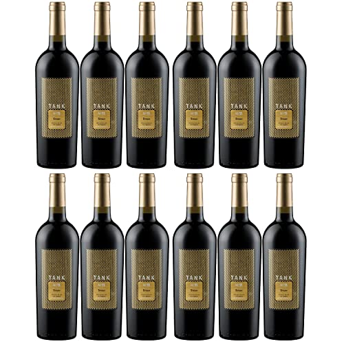 Camivini Tank 11 Syrah Appassimento DOC Rotwein Wein trocken Italien Inkl FeinWert E-Book (12 Flaschen) von Camivini