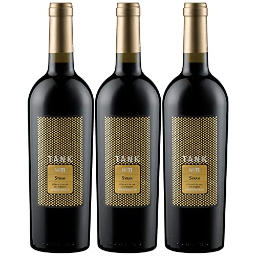 Camivini Tank 11 Syrah Appassimento DOC Rotwein Wein trocken Italien Inkl FeinWert (3 Flaschen) von Camivini