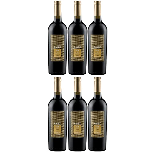 Camivini Tank 11 Syrah Appassimento DOC Rotwein Wein trocken Italien Inkl FeinWert (6 Flaschen) von Camivini