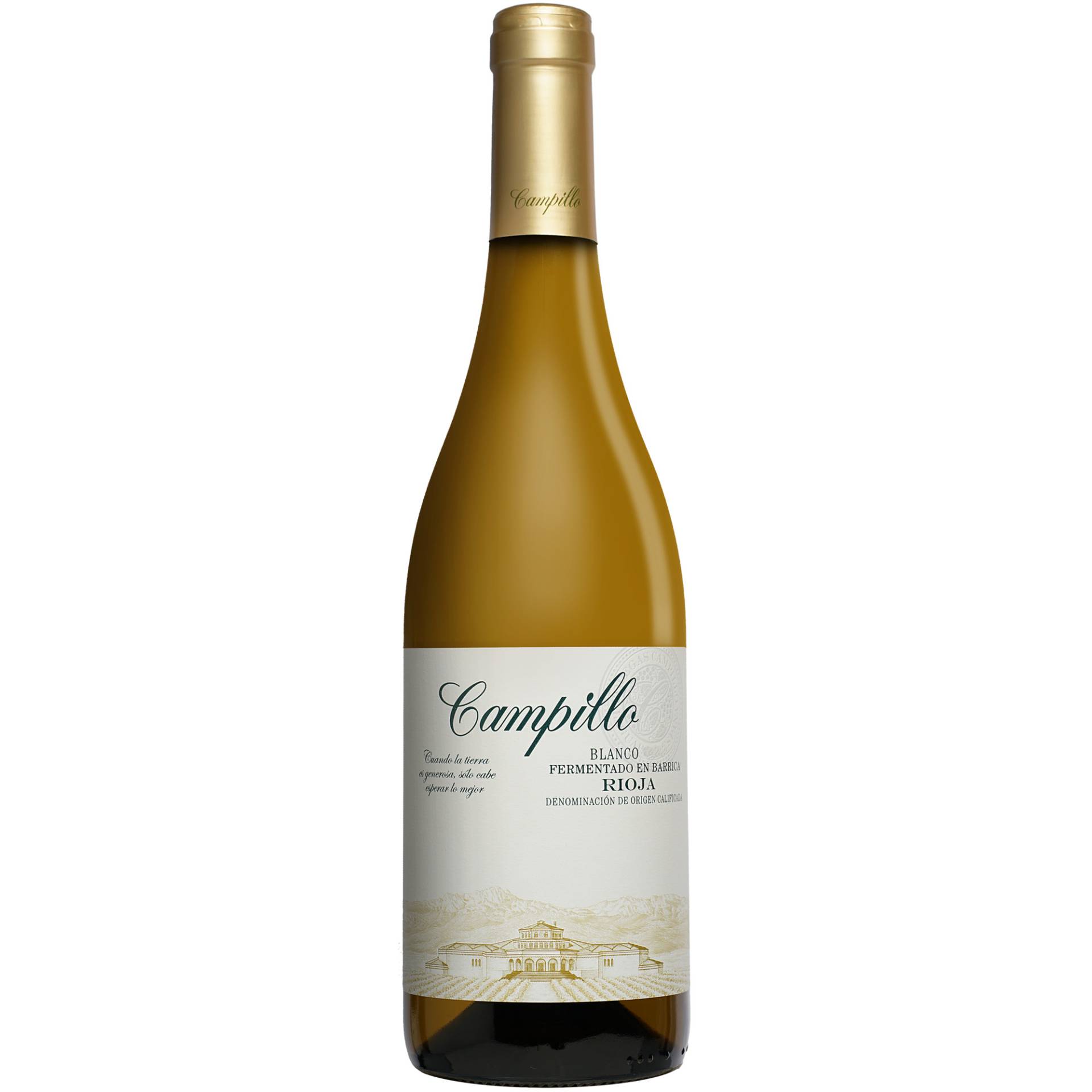 Campillo Blanco Barrica 2024 0.75L 12.5% Vol. Weißwein Trocken aus Spanien Campillo Blanco Barrica 2024 0.75L 12.5% Vol. Weißwein Trocken aus Spanien von Campillo