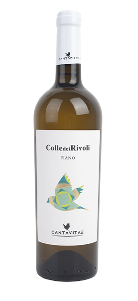 "Colle dei Rivoli" Fiano Campania IGP 2022 von Cantavitae