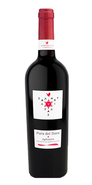 "Puro del Duca" Aglianico Campania IGP 2020 von Cantavitae