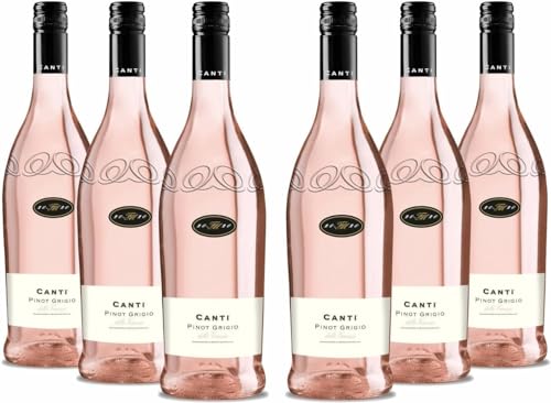 Canti - Pinot Grigio delle Venezie D.O.C., italienischer Rosé Wein, frisches Pfirsicharoma mit lebendigen beeren und Steinobstgeschmack, 6x750 ml von CANTI