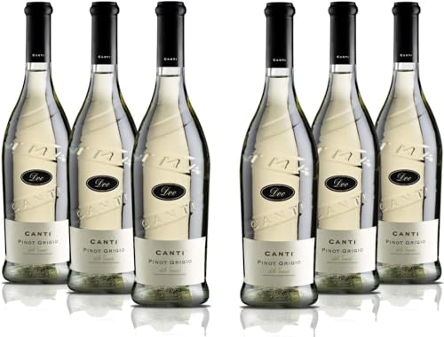 Canti - Pinot Grigio delle Venezie D.O.C., italienischer trockener Weißwein 12%, frischer Geschmack mit einer fruchtigen und abgerundeten Note, 6x750 ml von CANTI