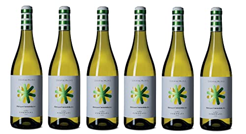 6x 0,75l - 2023er - Cantina Frentana - Costa del Mulino - Cococciola - Abruzzo D.O.P. - Abruzzen - Italien - Weißwein trocken 6x 0,75l - 2023er - Cantina Frentana - Costa del Mulino - Cococciola - Abruzzo D.O.P. - Abruzzen - Italien - Weißwein trocken von Cantina Frentana - Costa del Mulino