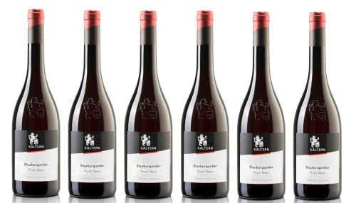 6x 0,75l - 2023er - Cantina Kaltern - Klassik - Blauburgunder - Pinot Nero - Alto Adige D.O.P. - Südtirol - Italien - Rotwein trocken 6x 0,75l - 2023er - Cantina Kaltern - Klassik - Blauburgunder - Pinot Nero - Alto Adige D.O.P. - Südtirol - Italien - Rotwein trocken von Cantina Kaltern