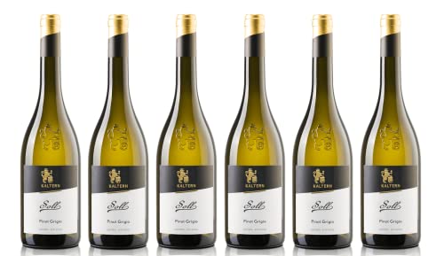 6x 0,75l - 2023er - Cantina Kaltern - Selektion - Soll - Pinot Grigio - Alto Adige D.O.P. - Südtirol - Italien - Weißwein trocken 6x 0,75l - 2023er - Cantina Kaltern - Selektion - Soll - Pinot Grigio - Alto Adige D.O.P. - Südtirol - Italien - Weißwein trocken von Cantina Kaltern