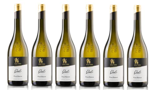 6x 0,75l - 2023er - Cantina Kaltern - Selektion - Vial - Pinot Bianco - Alto Adige D.O.P. - Südtirol - Italien - Weißwein trocken 6x 0,75l - 2023er - Cantina Kaltern - Selektion - Vial - Pinot Bianco - Alto Adige D.O.P. - Südtirol - Italien - Weißwein trocken von Cantina Kaltern