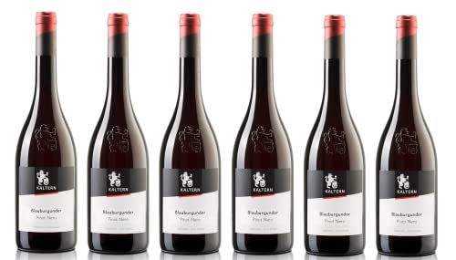 6x 0,75l - Cantina Kaltern - Klassik - Blauburgunder - Pinot Nero - Alto Adige D.O.P. - Südtirol - Rotwein trocken von Cantina Kaltern