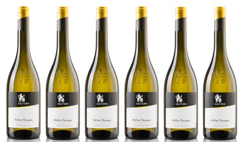 6x 0,75l - Cantina Kaltern - Klassik - Müller-Thurgau - Alto Adige D.O.P. - Südtirol - Weißwein trocken von Cantina Kaltern