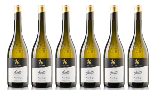 6x 0,75l - Cantina Kaltern - Selektion - Soll - Pinot Grigio - Alto Adige D.O.P. - Südtirol - Weißwein trocken von Cantina Kaltern