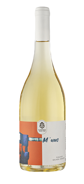 "M'amo" Malvasia Moscato Puglia IGP 2022 "M'amo" Malvasia Moscato Puglia IGP 2022 von Cantina Sampietrana