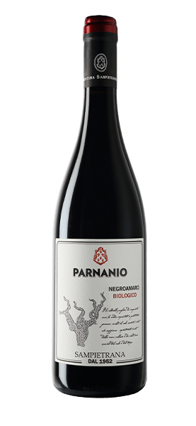 "Parnanio" Negroamaro BIO Salento IGP 2022 "Parnanio" Negroamaro BIO Salento IGP 2022 von Cantina Sampietrana