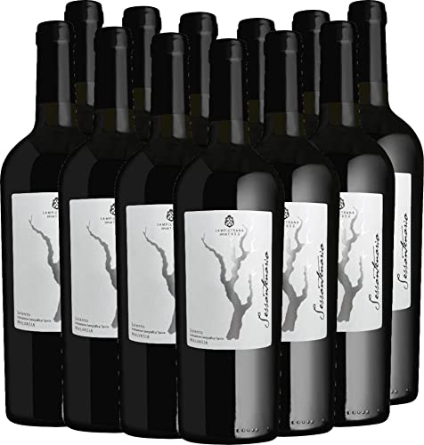 Sessantenario Malvasia Salento IGT 2019 - Cantina Sampietrana Rotwein 12 x 0,75 l mit VINELLO.weinausgießer - VINELLO 12er Weinpaket von Cantina Sampietrana