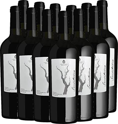 Sessantenario Malvasia Salento IGT 2019 - Cantina Sampietrana Rotwein 12 x 0,75 l mit VINELLO.weinausgießer - VINELLO 12er Weinpaket Sessantenario Malvasia Salento IGT 2019 - Cantina Sampietrana Rotwein 12 x 0,75 l mit VINELLO.weinausgießer - VINELLO 12er Weinpaket von Cantina Sampietrana